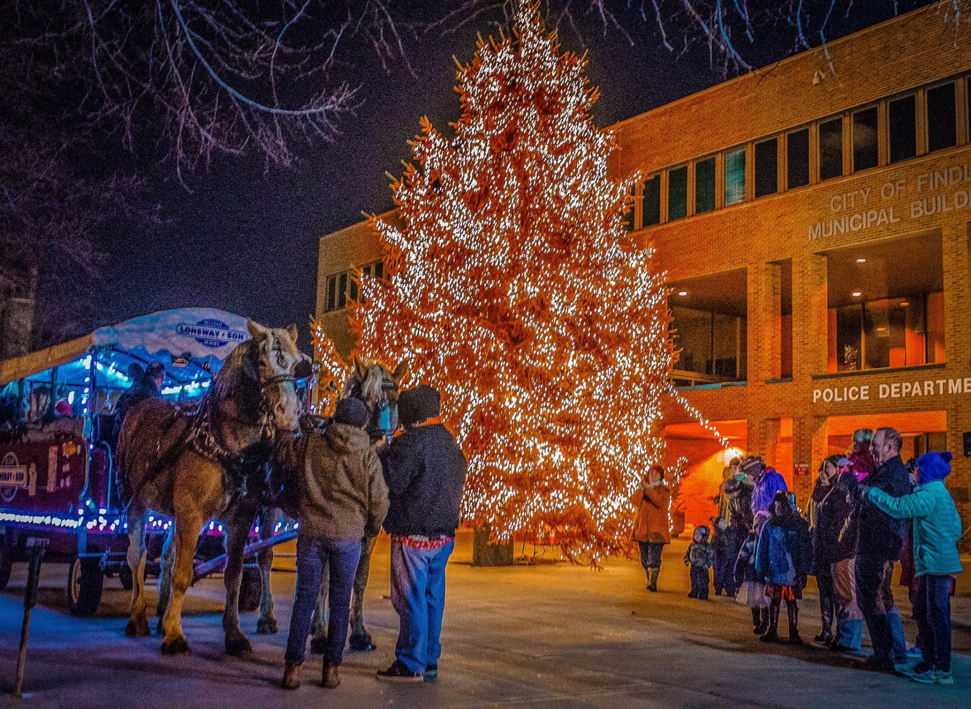 Tree lighting with horses