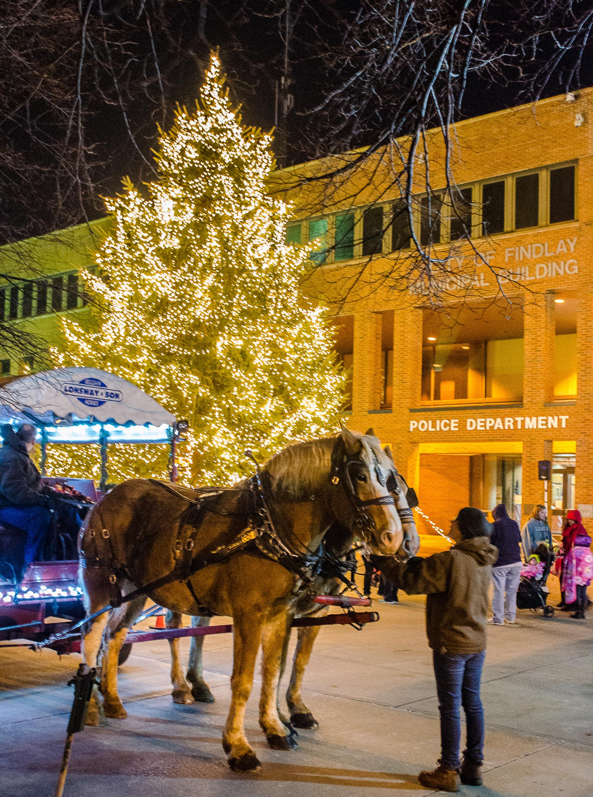 Christmas Tree Lighting2